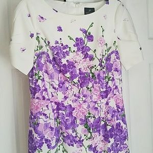 Adrianna Papell dress